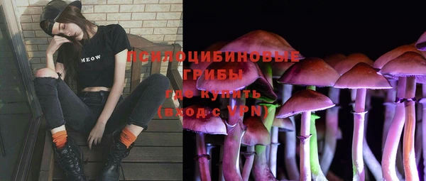 герыч Елабуга