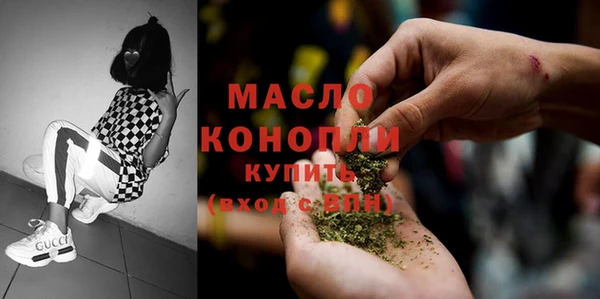 apvp Ельня