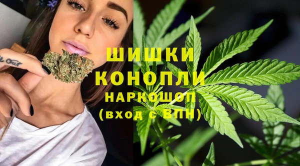 ALPHA PVP Елизово