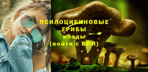 ALPHA PVP Елизово