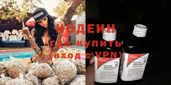 apvp Ельня