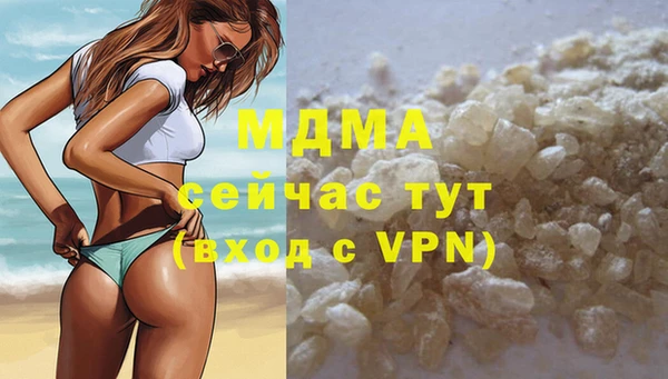 apvp Ельня